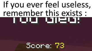 Minecraft Memes