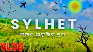 সিলেট গ্রামের প্রাকৃতিক সৌন্দর্য / Natural beauty of Sylhet village / Sylhet village / bangla vlog