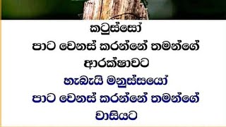 Live 🔴 වැරැද්දක් නොකර වැරදි කාරයෙක් උනේ මේ සමාජයේ වරදින් .එකයි තිත්ත ඇත්ත බන් #Live