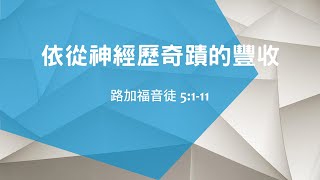 中和仁愛浸信會20241020主日敬拜(依從神經歷奇蹟的豐收)ZhongheJenaiBaptistChurch