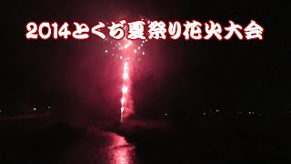 2014とくぢ夏祭り花火大会 ⑯