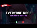 DJ Everyone Nose ( Slowed & Reverb ) 🎧