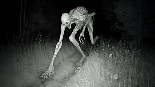 Real Terrifying Cryptids Caught In Forests You Won't Believe Exist