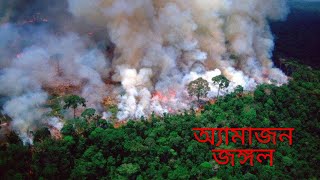 Amazon জঙ্গল | Amazon Rainforest  রহস্যময় অ্যামাজন বন  অ্যামাজন বনের রহস্য  Amazon Forest বিশ্ব নগরী