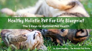 Healthy Holistic Pet For Life Blueprint with Dr. Katie Woodley
