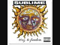 sublime 40 oz to freedom