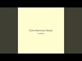 Echo Harmony Clouds