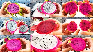 THE ULTIMATE DRAGON FRUIT TASTING VIDEO / OVER 2 HOURS / MOUTHWATERING RARE and DELICIOUS VARIETIES