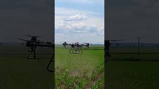 Aplikace listového hnojiva dronem