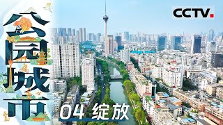 《公园城市》04 绽放：文翁石室是中国最早的官办学校 两千多年未变校址 缔造了中国教育史乃至世界教育史上的奇迹【CCTV纪录】