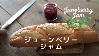 【ジューンベリージャム】作り方/料理Vlog/収穫/レシピ