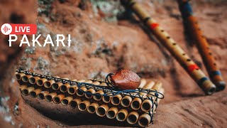 Pakari - Magic of Native flute sounds✨