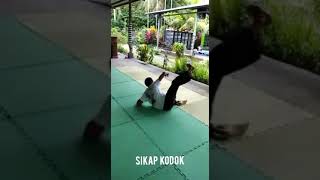 jurus kodok perguruan seruling Dewata