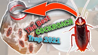 The Best Cockroach Traps 2021