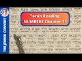Torah Reading | Numbers Chapter 11 in Hebrew with English Translation