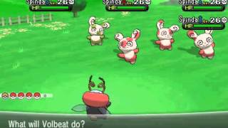 shiny spinda number 7