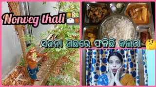 ସଜନା ଗଛରେ କଲରା ଫଳିଛି 🤔ମାଛ ଛିଞ୍ଚଡ଼ା 🐟Non veg thali 🍱#odiavlog  @Chikisfamilylifestyle