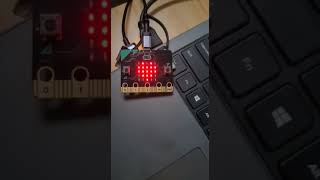 microbit beating heart