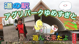 【道の駅】アグリパークゆめすぎとに行って来たよ