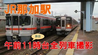 高山本線 那加駅 休日午前11時台列車撮影