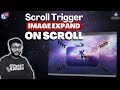 Expand Images on Scroll in Elementor Like a PRO in Just 10 Minutes!