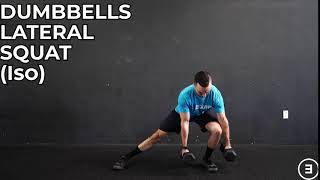 Dumbbells Lateral Squat (Isometric)