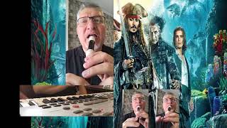 PIRATES OF THE CARIBBEAN - FLUTE COVER