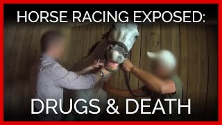 Horse Racing Exposed: Drugs and Death