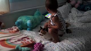 Our Cat and 1.5 y.o. Baby Playing