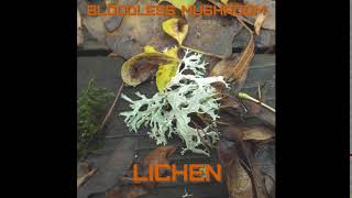 Bloodless Mushroom - Lichen - 05 - Foliose
