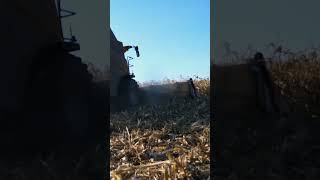 The Ultimate Corn Harvest Machine New Holland in Action