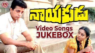 Kamal Hassan's Nayakudu Video Songs Jukebox | Saranya | Ilayaraja | Mani Ratnam | Cinema Zindagi