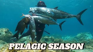 THE LAST SHOT! || PELAGIC SEASON || SPEARFISHING PHILIPPINES || BANTON ROMBLON💪😱🎯