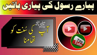 mere nabi ki pyari baatein | pyare rasool ki pyari baatein in urdu | hadees ki baatein 0026 |