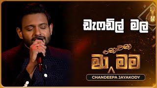 Daffodil Male (ඩැෆඩිල් මල) | Chandeepa Jayakody | Ma Nowana Mama | TV Derana