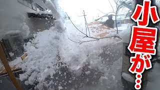 【庭の池】大雪で家の屋根の雪が小屋に大量に落ちてきて… #185 2019.1.2