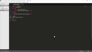 PHP Tutorial - Echo and Print Statement