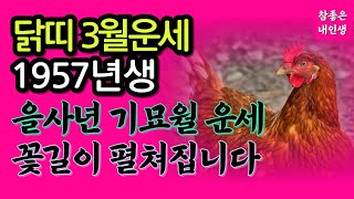 닭띠운세 3월운세 닭띠운세57년생 | 조상님이 돕는 대박띠 닭띠 운세 1957년생 | 3월운세닭띠 닭띠금전운 닭띠재물운 1957년 닭띠운세 | 양력 3월 운세 대운 말년운