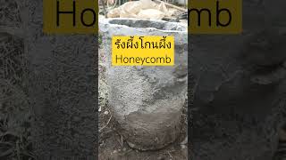 ทำโกนผึ้งจากปูน ทนนานใช้งานยาวๆ Honeycomb