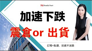 【投資必學】暴跌是震倉還是出貨 l 暴跌後邊個位置可抄底 l OBV能量潮 l