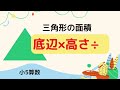 小5算数【三角形の面積公式】