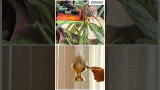 Pittalam Brass Loban Daan | Dhoop Dani | Loban Dani