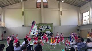 第10回黒崎よさこい祭り 黒崎体育館会場