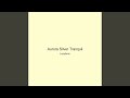 Aurora Silver Tranquil