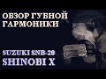 Обзор губной гармоники Suzuki SNB-20 (Shinobi X)| Suzuki SNB-20 harmonica review (ENG sub)