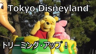 【TDL】ドリーミング・アップ！グランドフィナーレ　Tokyo Disneyland  Dreaming Up!