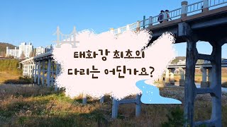 [디지털주민크리에이터] 태화강 최초의 다리는 어딘가요?