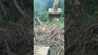 land clearing lahan baru perluasan lahan tambang batubara