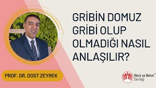 Gribin Domuz Gribi Olup Olmadığı Nasıl Anlaşılır?