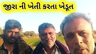 જીરા ની ખેતી કરતા ખેડૂત | સૌરાષ્ટ્ર ની સુંદરતા | Gujarati video | Farming | Gujarati comedy video